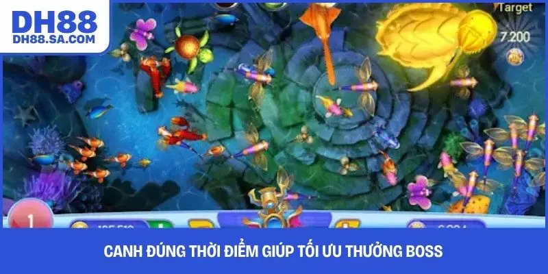 Canh đúng thời điểm giúp tối ưu thưởng boss 